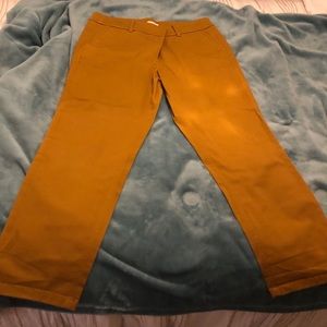Mustard Yellow LOFT Chino